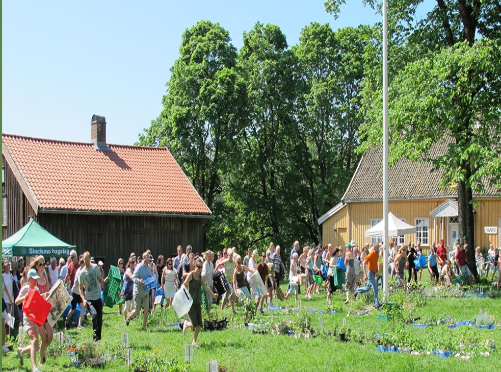 Bilde: Bilde fra planteloppemarked