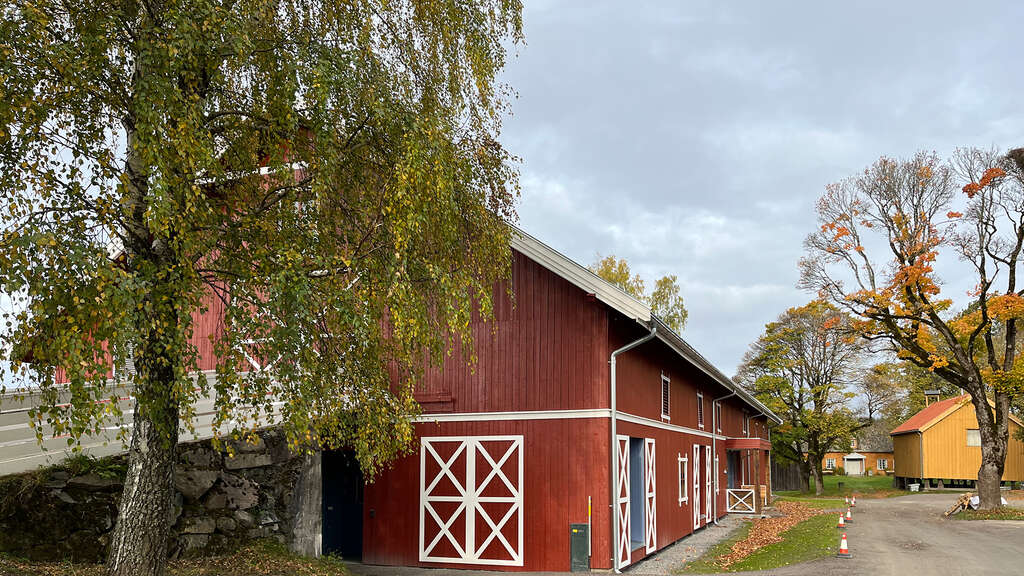 Bilde: Bilde av Husebylåven